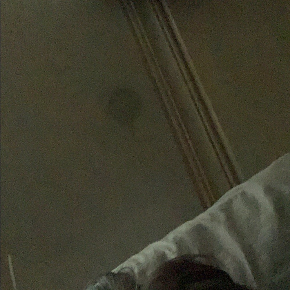 Meet your Posher, Clyde